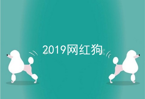 2019网红狗