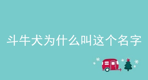 斗牛犬为什么叫这个名字