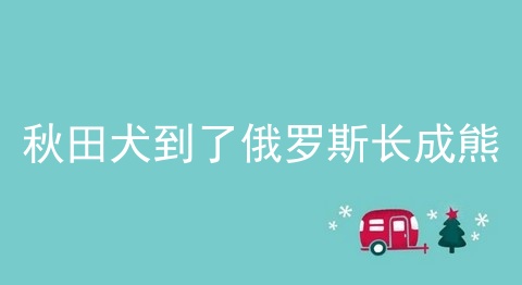 秋田犬到了俄罗斯长成熊