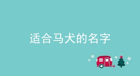 适合马犬的名字