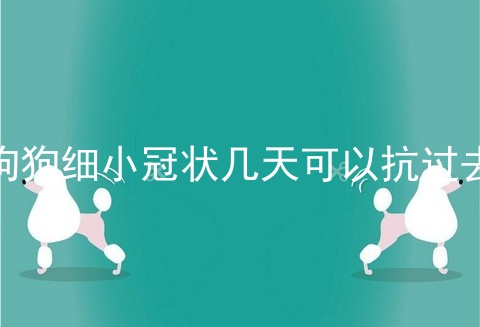 狗狗细小冠状几天可以抗过去