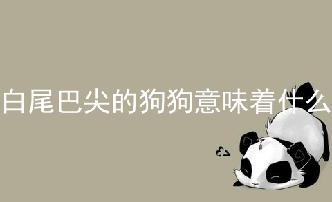 白尾巴尖的狗狗意味着什么