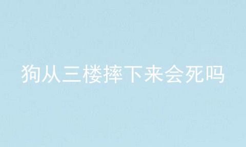 狗从三楼摔下来会死吗