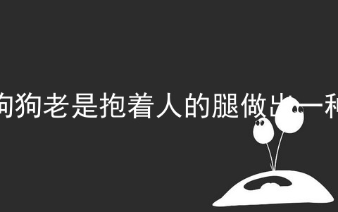 狗狗老是抱着人的腿做出一种