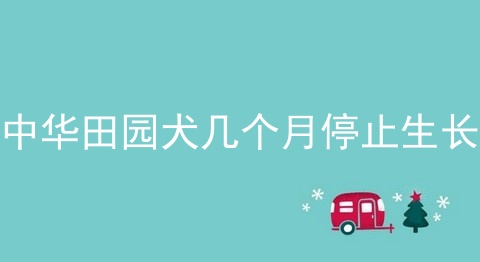 中华田园犬几个月停止生长