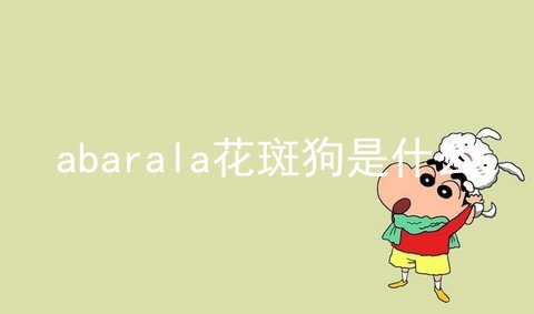 abarala花斑狗是什么