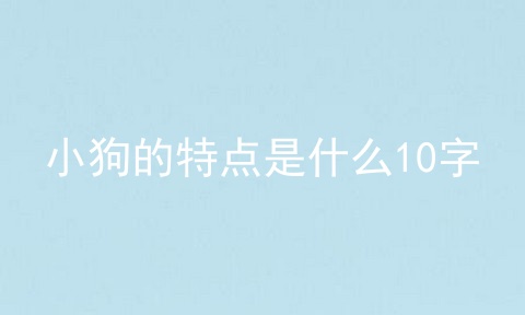 小狗的特点是什么10字