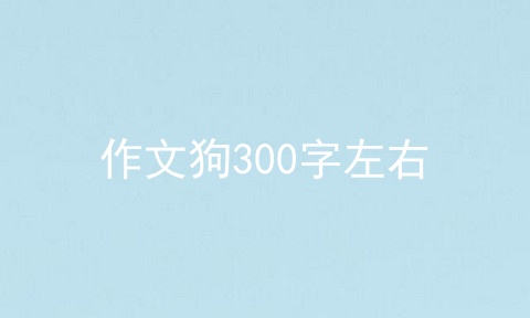 作文狗300字左右