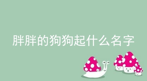 胖胖的狗狗起什么名字