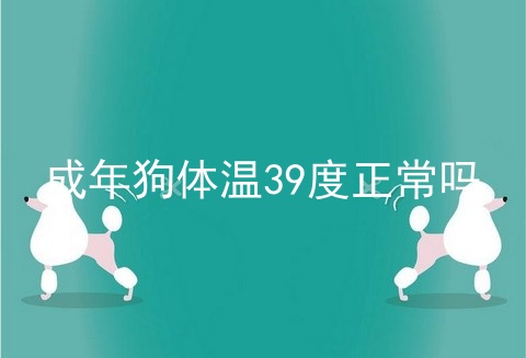 成年狗体温39度正常吗