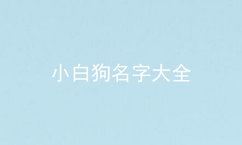 小白狗名字大全