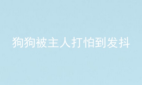 狗狗被主人打怕到发抖