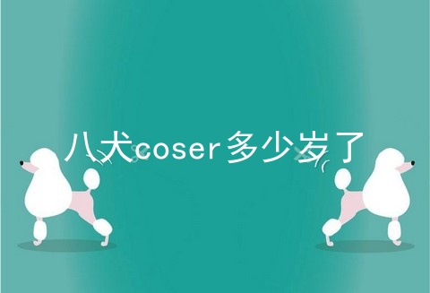 八犬coser多少岁了