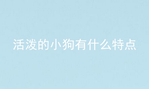 活泼的小狗有什么特点