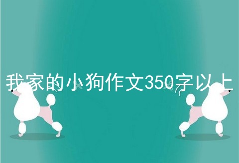 我家的小狗作文350字以上