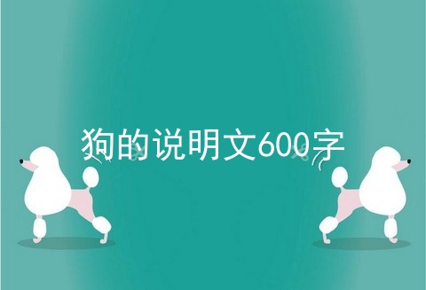 狗的说明文600字