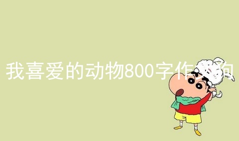 我喜爱的动物800字作文狗