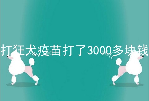 打狂犬疫苗打了3000多块钱